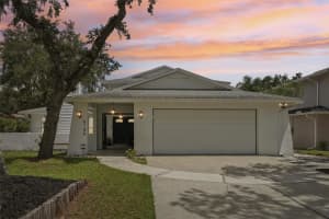 6106 Rain Briar Ct, TEMPLE TERRACE