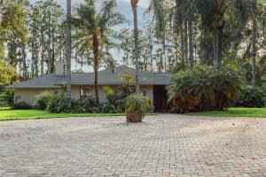 19100 FORREST DRIVE, ODESSA, FL 33556 - MLS#MFRTB8410764