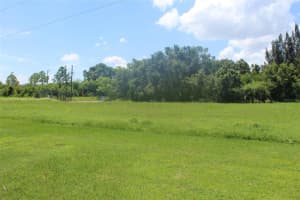 8788 CHRISTIE DRIVE, LARGO, FL 33771 - MLS#MFRTB8410786
