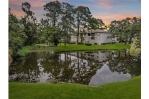 2649 BURNTFORK DRIVE, CLEARWATER, FL 33761 - MLS#MFRTB8410787