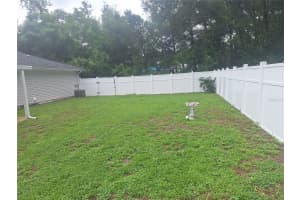 13919 44TH AVENUE, SUMMERFIELD, FL 34491 - MLS#MFRTB8410792