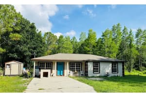 26432 Bluestripe Dr, WESLEY CHAPEL