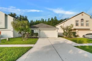 17034 Ongar Ct, LAND O LAKES