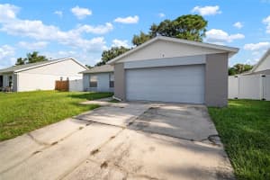12825 TALLOWOOD DRIVE, RIVERVIEW, FL 33579 - MLS#MFRTB8410816