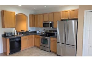 16320 SWAN VIEW CIRCLE, ODESSA, FL 33556 - MLS#MFRTB8410818