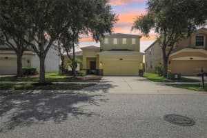 10756 Pictorial Park Dr, TAMPA