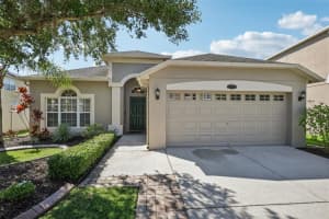20125 Still Wind Dr, TAMPA
