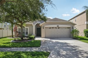 20125 STILL WIND DRIVE, TAMPA, FL 33647 - MLS#MFRTB8410838
