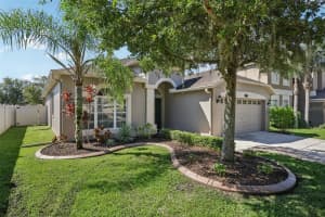 20125 STILL WIND DRIVE, TAMPA, FL 33647 - MLS#MFRTB8410838