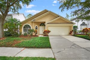 17728 Long Ridge Rd, TAMPA