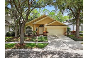 17728 LONG RIDGE ROAD, TAMPA, FL 33647 - MLS#MFRTB8410844