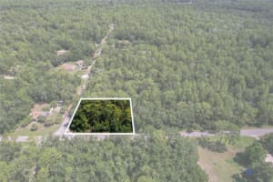 10049 SUN CITY TERRACE, DUNNELLON, FL 34433 - MLS#MFRTB8410854