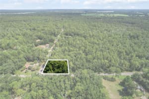 10049 SUN CITY TERRACE, DUNNELLON, FL 34433 - MLS#MFRTB8410854