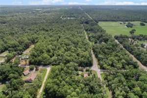 10049 SUN CITY TERRACE, DUNNELLON, FL 34433 - MLS#MFRTB8410854