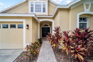 4049 MARLOW LOOP, LAND O LAKES, FL 34639 - MLS#MFRTB8410873