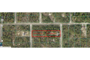 1058 BREEZY DRIVE, DUNNELLON, FL 34431 - MLS#MFRTB8410889