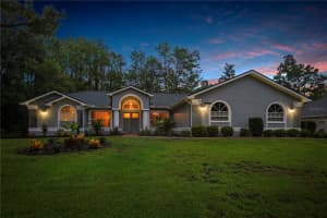 9 PLUMBAGO COURT, HOMOSASSA, FL 34446 - MLS#MFRTB8410901