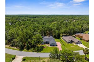 9 PLUMBAGO COURT, HOMOSASSA, FL 34446 - MLS#MFRTB8410901