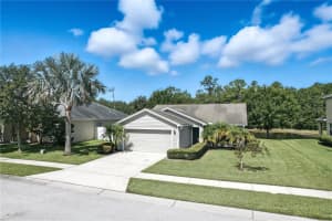 6133 Evansbrook Dr, ZEPHYRHILLS