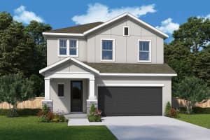 31012 Pendleton Landing Cir, WESLEY CHAPEL