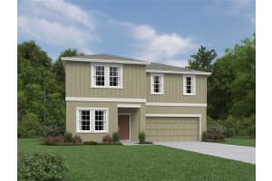 1658 Cane Bamboo Drive, ST CLOUD