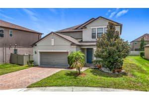 4528 COACHFORD DRIVE, WESLEY CHAPEL, FL 33543 - MLS#MFRTB8411010