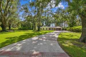 20006 LAKE HOLLY DRIVE, LUTZ, FL 33558 - MLS#MFRTB8411025