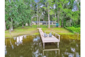 20006 LAKE HOLLY DRIVE, LUTZ, FL 33558 - MLS#MFRTB8411025