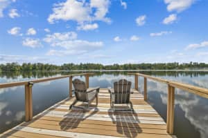 20006 LAKE HOLLY DRIVE, LUTZ, FL 33558 - MLS#MFRTB8411025
