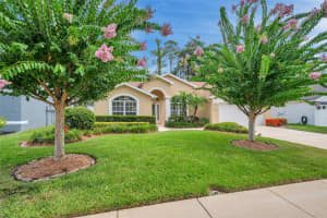 5646 Whitebark Dr, WESLEY CHAPEL