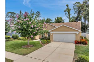 5646 WHITEBARK DRIVE, WESLEY CHAPEL, FL 33543 - MLS#MFRTB8411056