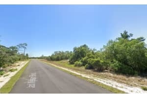 455 JACK WEISSER BOULEVARD, LAKE PLACID, FL 33852 - MLS#MFRTB8411060