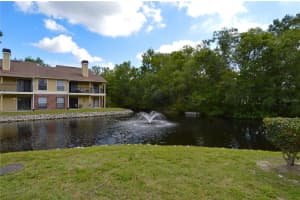 8709 Fancy Finch Dr #102, TAMPA