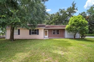 1229 W Granfield Ave, PLANT CITY