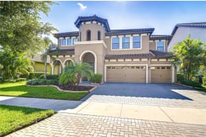 11350 Hawks Fern Dr, RIVERVIEW