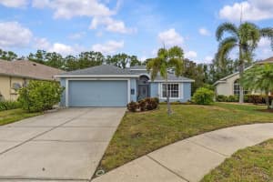 2725 Dolphin Watch Ct, HOLIDAY