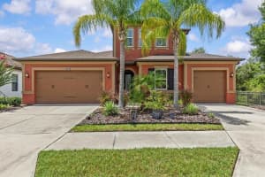 31982 Bourneville Ter, WESLEY CHAPEL