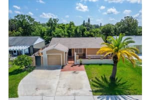 5731 Ridgestone Dr, TAMPA