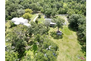 18812 HOLLY PINE TRAIL, LITHIA, FL 33547 - MLS#MFRTB8411218