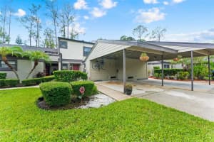 250 Woods Landing Trl, OLDSMAR