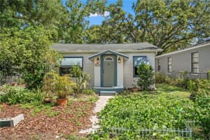 1008 W Powhatan Ave, TAMPA