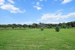 6177 CR 625, BUSHNELL, FL 33513 - MLS#MFRTB8411253