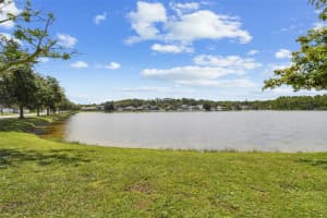 8677 MANASSAS ROAD, TAMPA, FL 33635 - MLS#MFRTB8411273