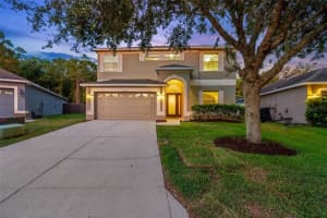 13943 Caden Glen Dr, HUDSON
