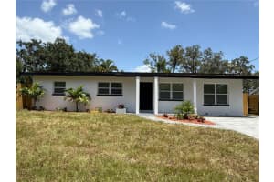 1920 Marvy Ave, TAMPA