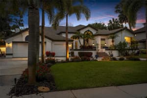 1705 MEYERS COVE DRIVE, TARPON SPRINGS, FL 34689 - MLS#MFRTB8411285
