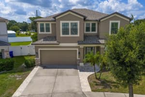 4802 Woods Landing Ln, TAMPA
