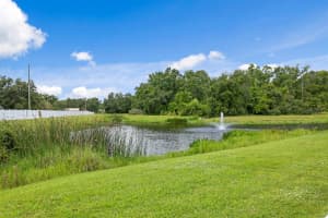 4802 WOODS LANDING LANE, TAMPA, FL 33619 - MLS#MFRTB8411337