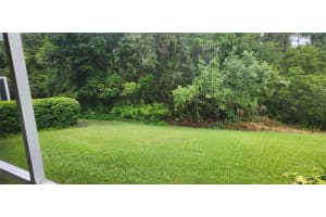 1713 SASSAFRAS DRIVE, WESLEY CHAPEL, FL 33543 - MLS#MFRTB8411343