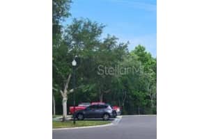26530 CASTLEVIEW WAY, WESLEY CHAPEL, FL 33544 - MLS#MFRTB8411345